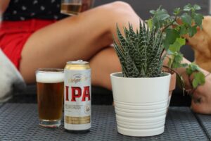 IPA, stout, lager – mi a különbség?