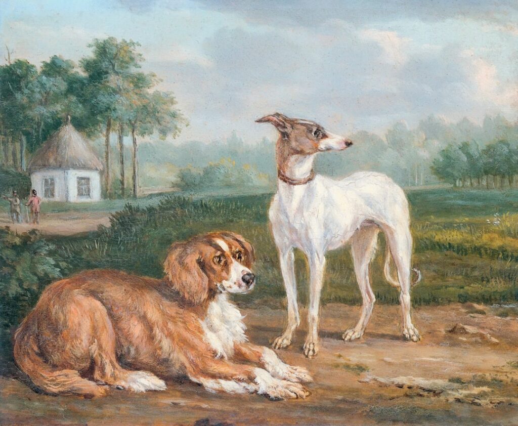 Macskaportré szénnel – állatok ábrázolása másként