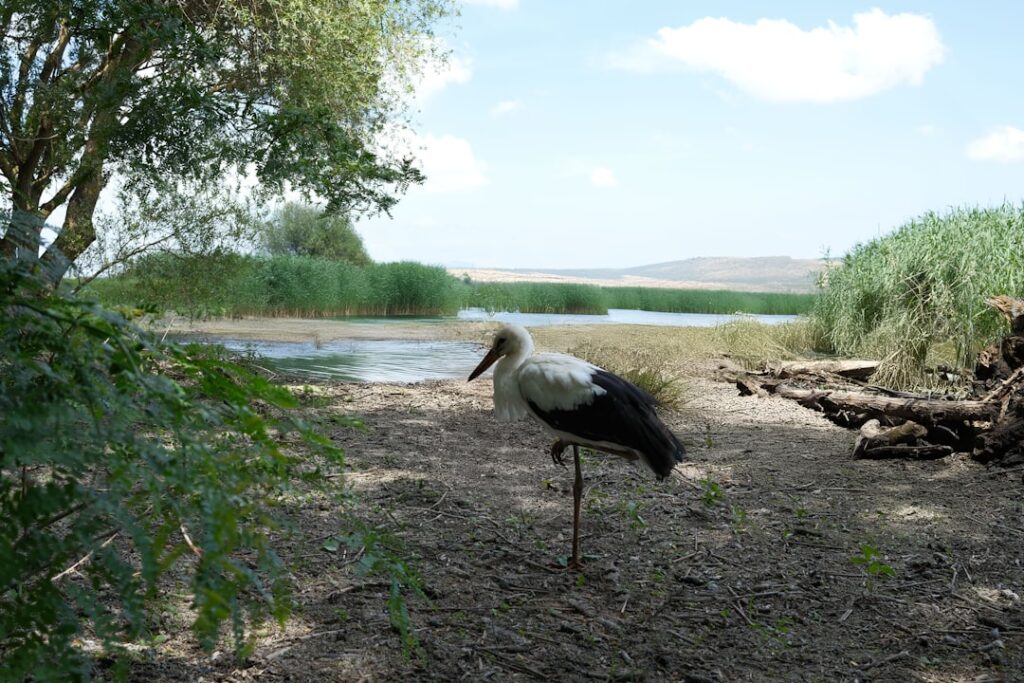 Papír kontra digitális – mi a valódi zöldebb opció?