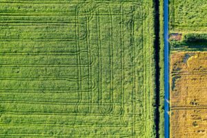 Okosfarmok – robotok és szenzorok a veteményesben