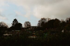 Városi kiskert a gangon – termessz fűszert vagy paradicsomot!