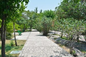 Zöldtetők és vertikális kertek jövője